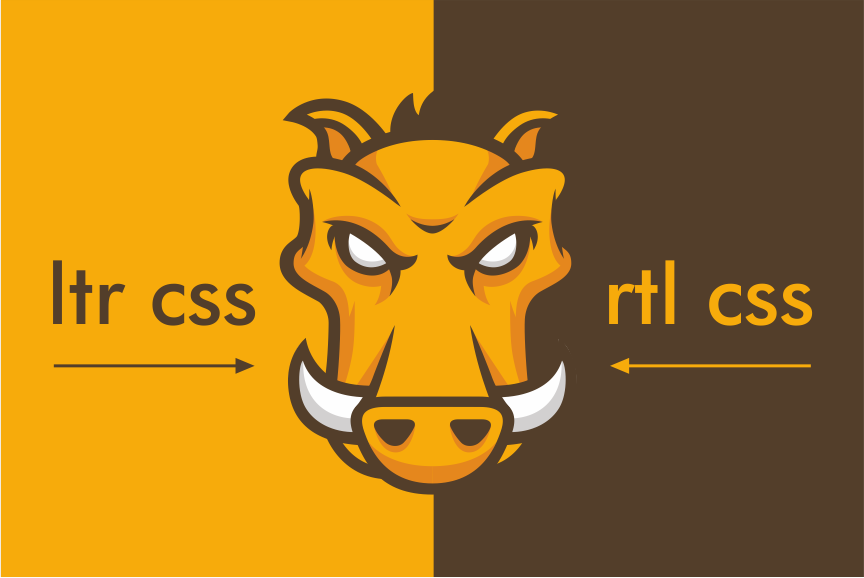 CMS Blog image