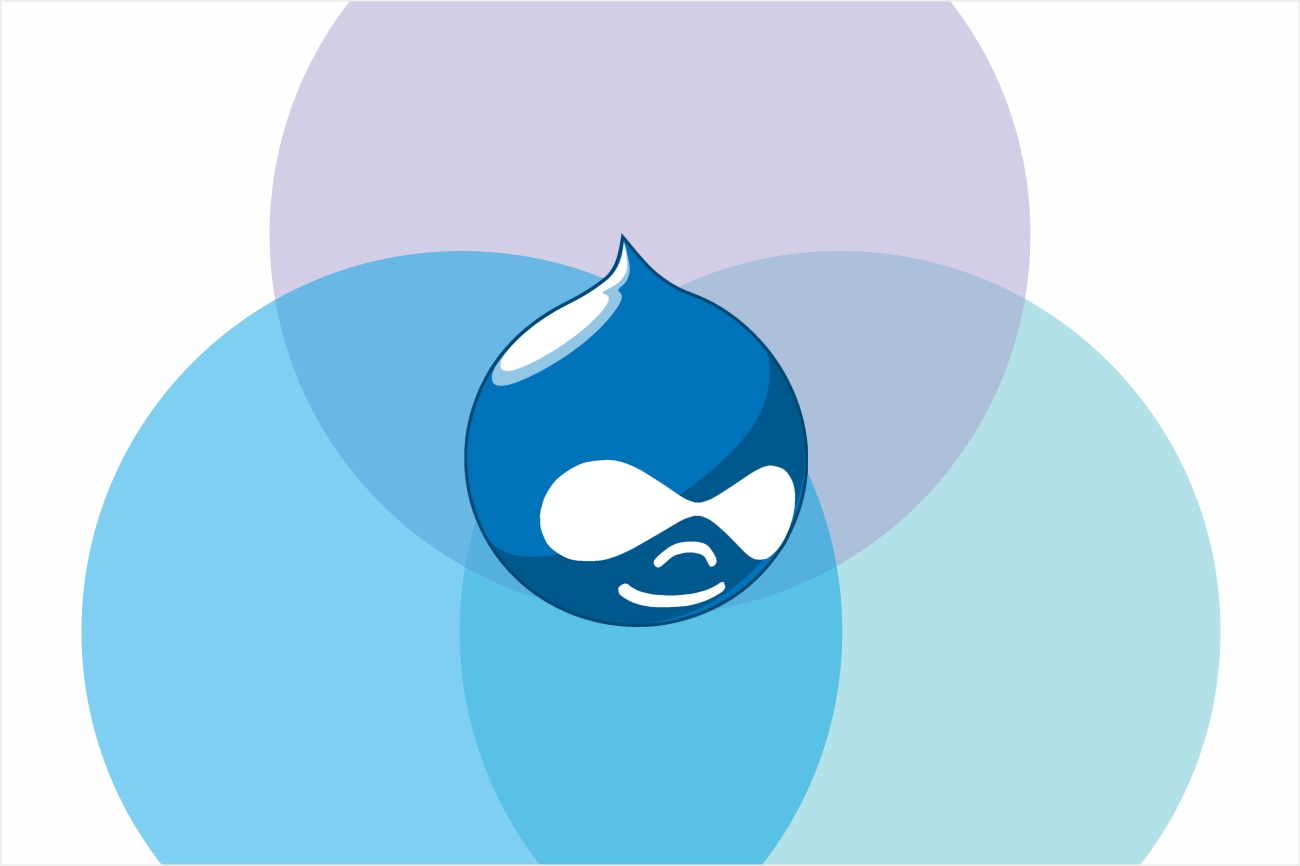 CMS Blog image