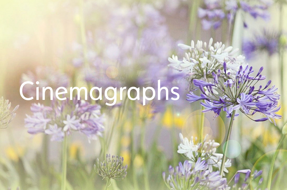 CMS Blog image
