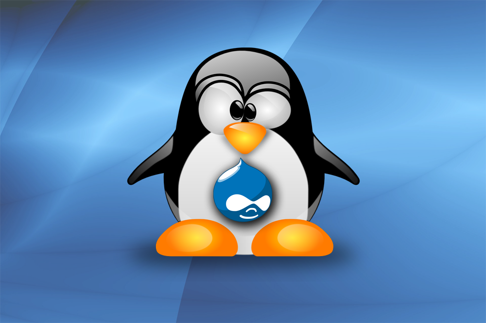 CMS Blog image