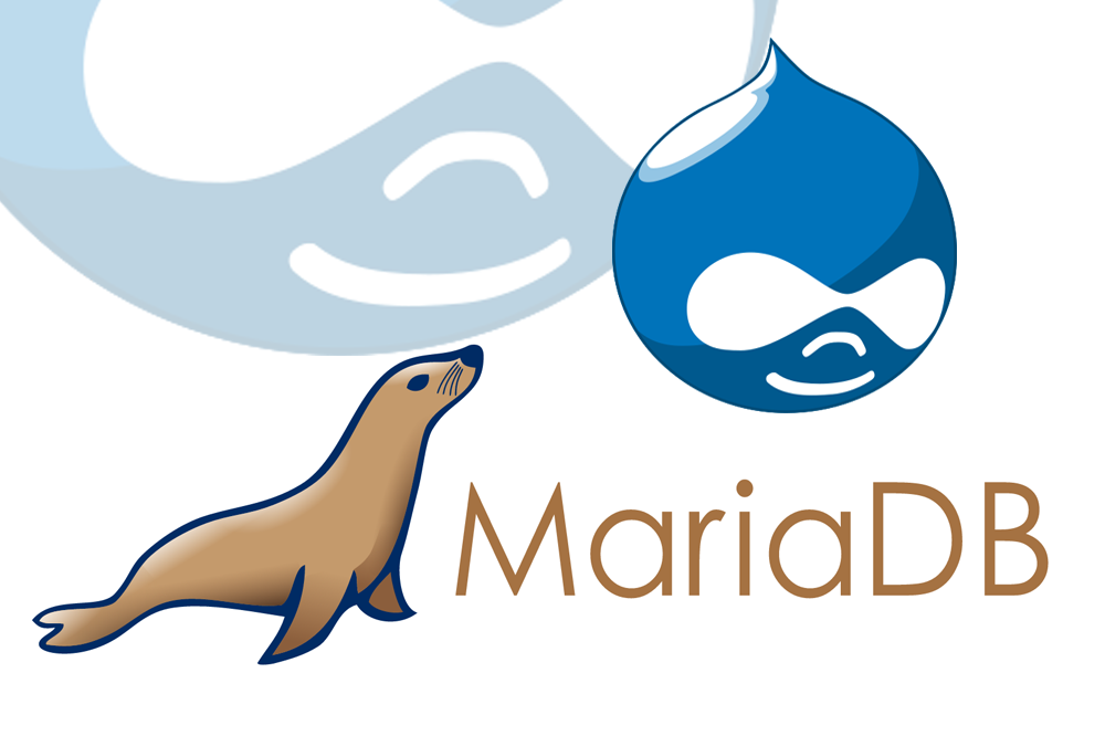 CMS Blog image